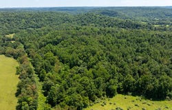Carney Lane, Leon, WV 25123