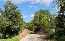 77250 Kinsey Orchard Rd, Freeport, OH 43973