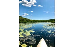 Highway 65, Isle, MN 56342