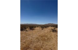 39 Leaping Lizard Lane, Apple Valley, CA 92307