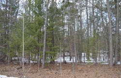1971 BUNKER DRIVE, KALKASKA, MI 49646