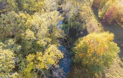 172 Blackfork Rd, Greenbrier, AR 72058