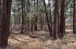102 E Valley View Drive, Bayfield, CO 81122