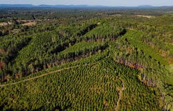 33 County Road 101, Centre, AL 35960