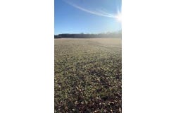 MOSBY Rd, Oakland, TN 38060
