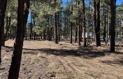 CR N2121, Alpine, AZ 85920