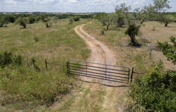 Lot 23 B Alsdorf Road, Ennis, TX 75119