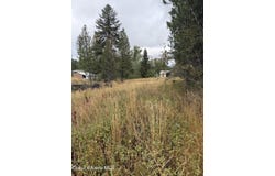 NKA F St, Plummer, ID 83851