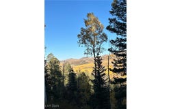 660 W Ski View Drive, Brian Head, UT 84719