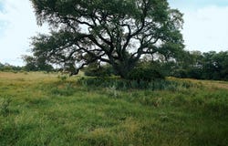 10709 Texas 105, Brenham, TX 77833