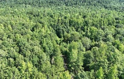 Polk Road 69, Mena, AR 71953