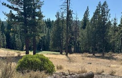 202 Morning Star lot: 368, Portola, CA 96122