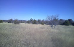 Tr 9 CR 1750, Chico, TX 76431