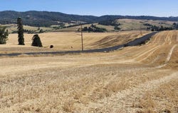 Jackson S 8006 Rd, Mica, WA 99023