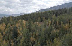 105 Highland Meadows Road, Whitefish, MT 59937
