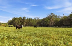 494 Flash Circle, Gonzales, TX 78648