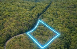 Off Cr 124, Annapolis, MO 63620