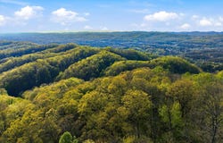 Luttrell, TN 37779