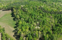 Tom Mix Road, Westfield, NC 27053