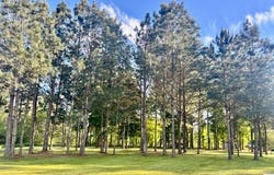 Daisy Lane, Andalusia, AL 36420