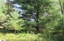 M-55, Cadillac, MI 49601