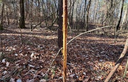 PLEASANT, CAMP HILL, AL 36850
