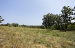 County Road 425, Ava, MO 65608