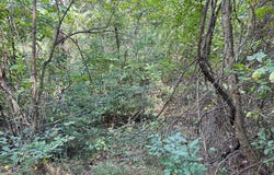 CAMPBELL HILL ROAD, STANLEY, VA 22851