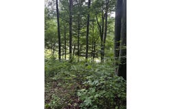 2041 Cat Creek Road, Stanton, KY 40380