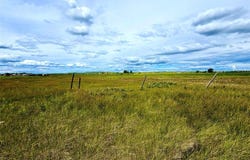Bad Eyes Road, Browning, MT 59417