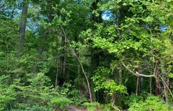 HALL ST lot: 25, BLOXOM, VA 23308