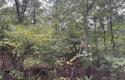 CR 339, Piedmont, MO 63957