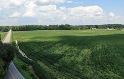 Chicken Road, Fairmont, NC 28340