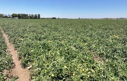 Bixler Rd, Byron, CA 94514