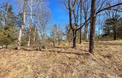 569 Ervey Rd, Allamuchy Twp., NJ 07821-5626