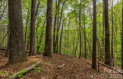 Pressley Creek Road, Cullowhee, NC 28723