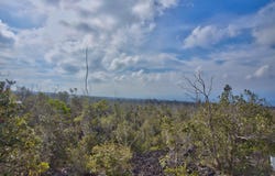 OHIA DR, Ocean View, HI 96737