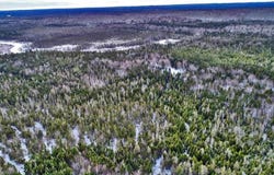 Fire Road lot: 57, Linneus, ME 04730
