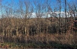 Selkirk Drive lot: 8, Bella Vista, AR 72715