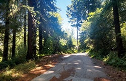 1080 Blue Ridge DR, BOULDER CREEK, CA 95006