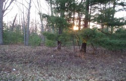 Indian Oaks Lot 1, Prudenville, MI 48651