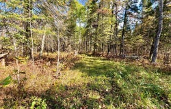 County Road 303, Deer River, MN 56636