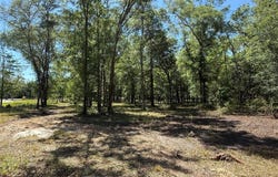 NW 145 Avenue, WILLISTON, FL 32696