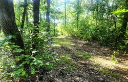400th Street, Browerville, MN 56438