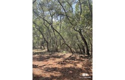 9847 S County Road 99, Lillian, AL 36549