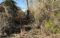 Delancey Road, Braxton, MS 39044