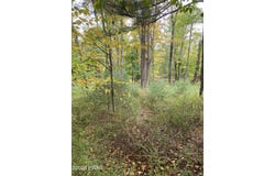 111 Koch Road, Tafton, PA 18464
