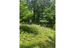 Dock Drive/Cypress Road, BUCHANAN, TN 38222