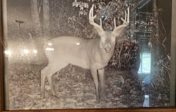 1480 Davis Run Road,, Mcdowell, VA 24458