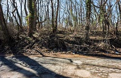 Mill Street, Albion, MI 49224